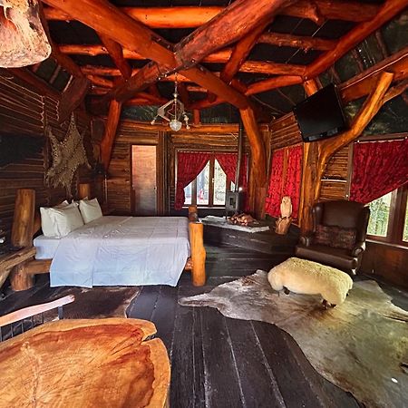 Art Lodge Кампус-ду-Жордау Экстерьер фото